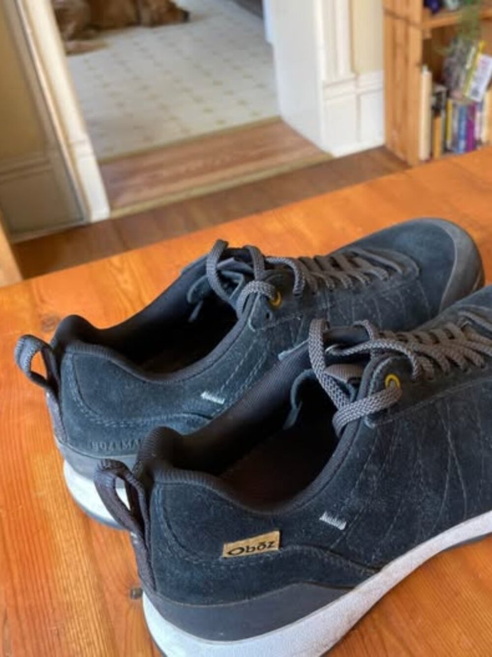 OBOZ Bozeman Low Leather Hiking Shoes - Men's Size 8